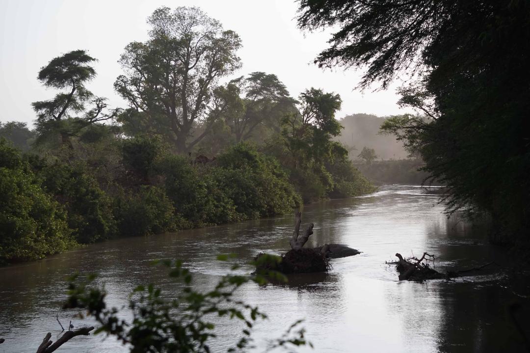 Day 3: Lake Langano – Dinsho (250km)