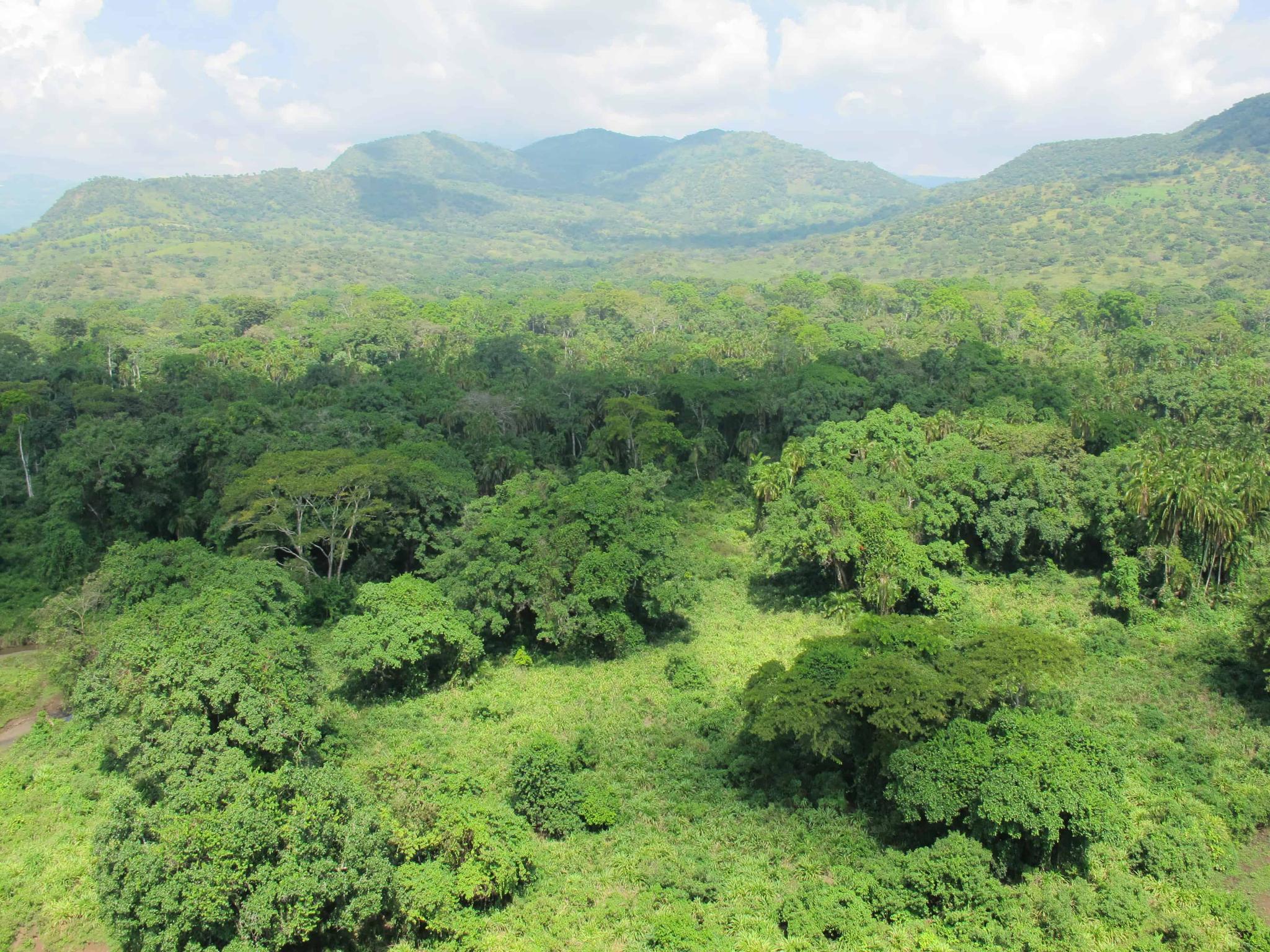 Chebera Churchura National Park