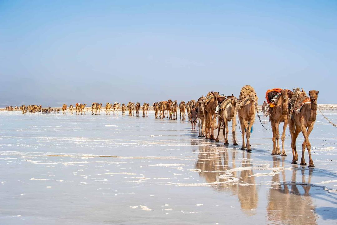 DAY 11: EXPLORE THE DALLOL AREA & DRIVE TO MEKELLE