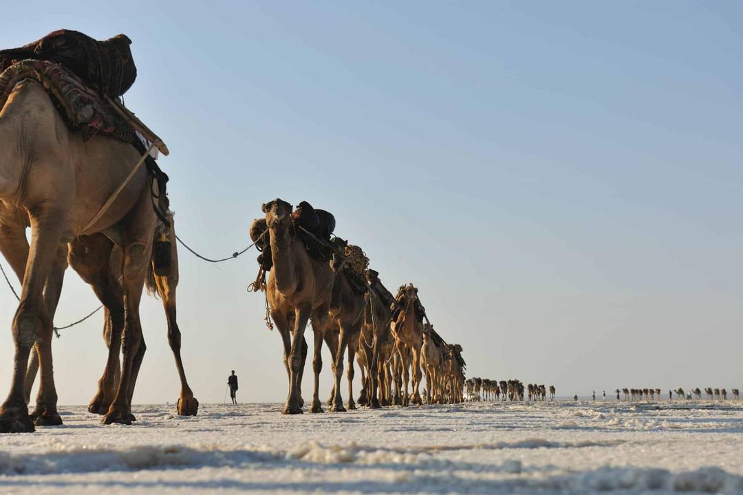 DAY 13: EXPLORE THE DALLOL AREA & DRIVE TO MEKELLE