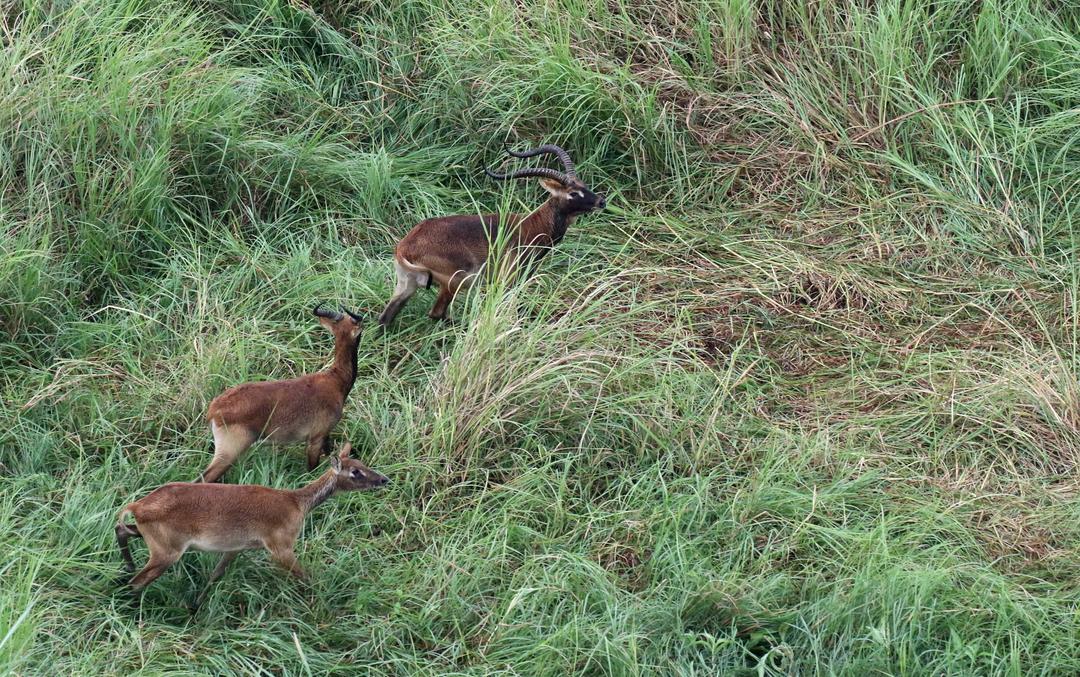 DAY 4: GAMBELLA NATIONAL PARK