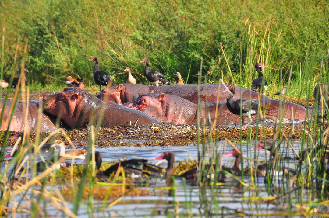 DAY 10: YABELLO TO LAKE HAWASSA