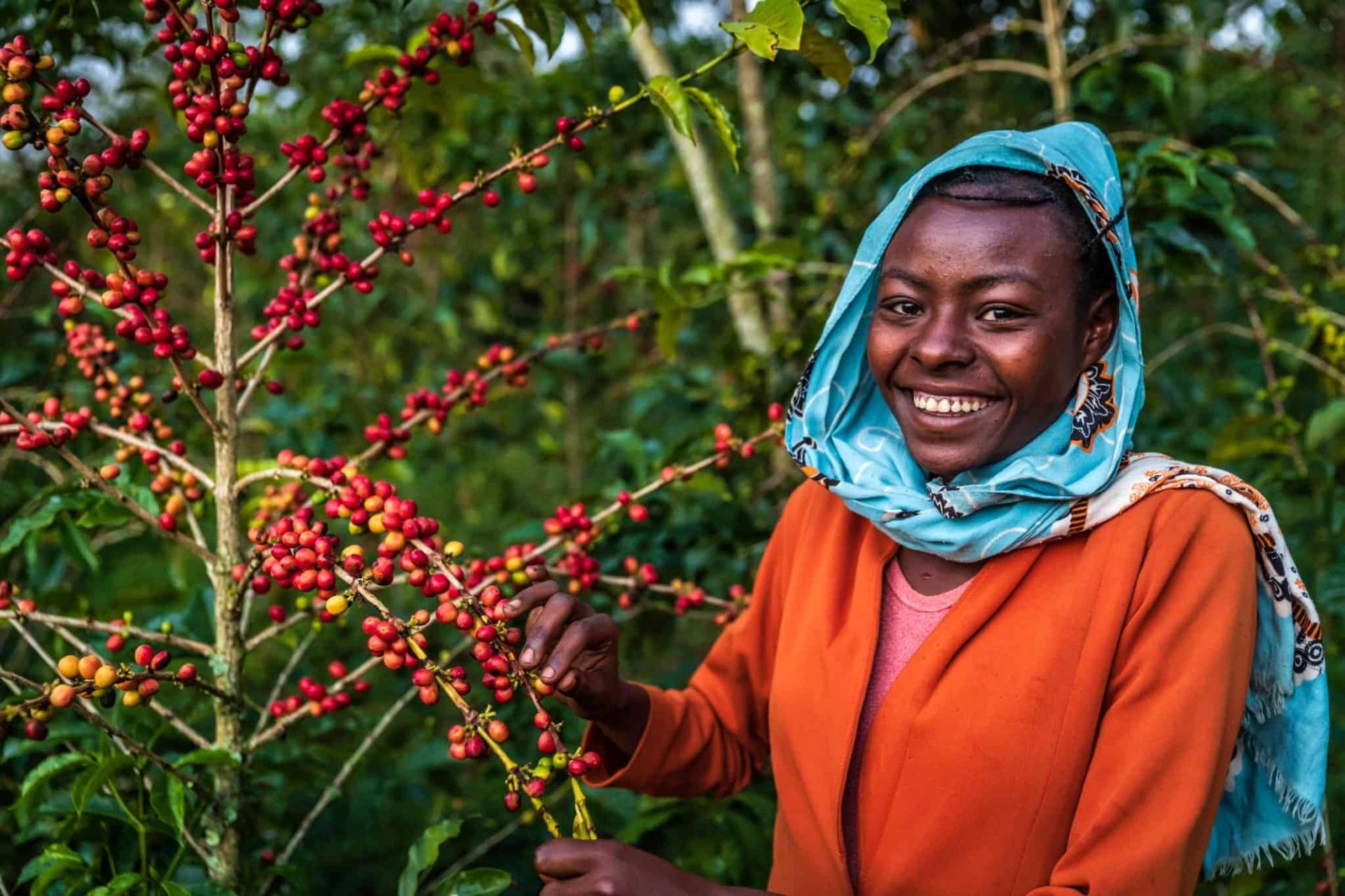 Coffee Tour in Ethiopia