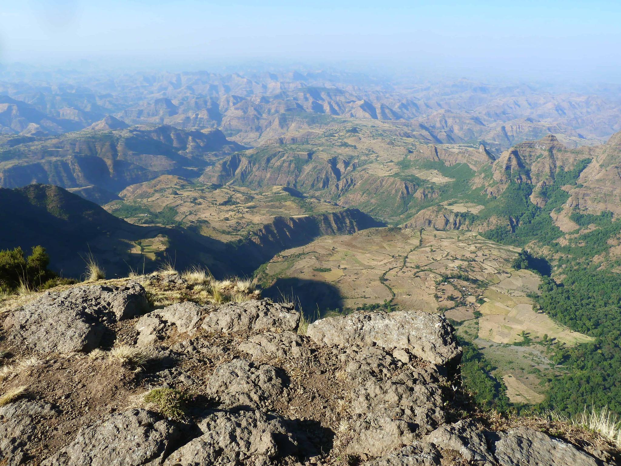 Simien Splendor