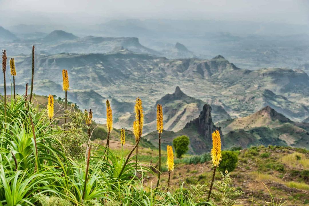 DAY 3: DEBRE BIRHAN TO ADDIS ABABA VIA THE JEMMA VALLEY