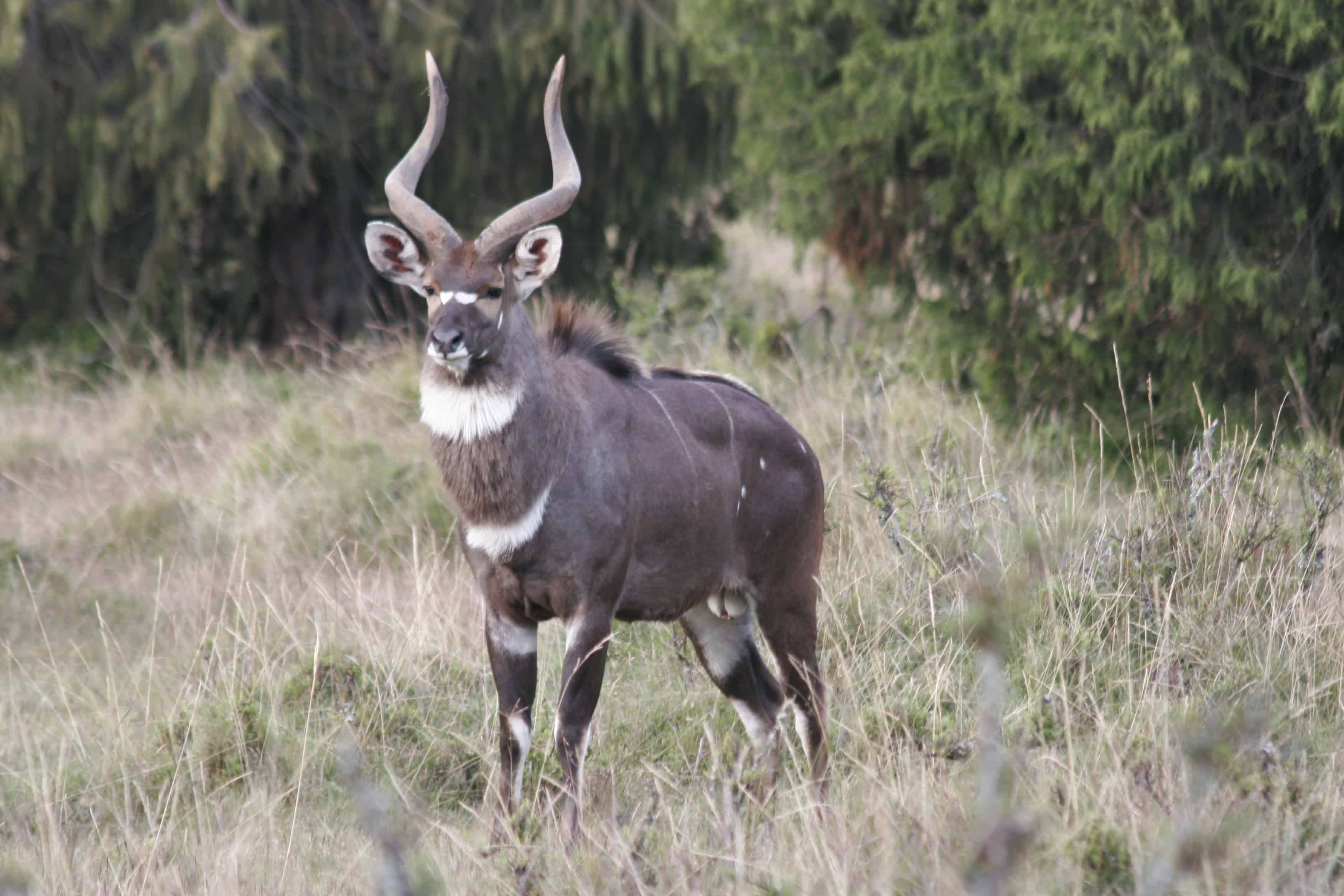 Trekking and Camping Adventures