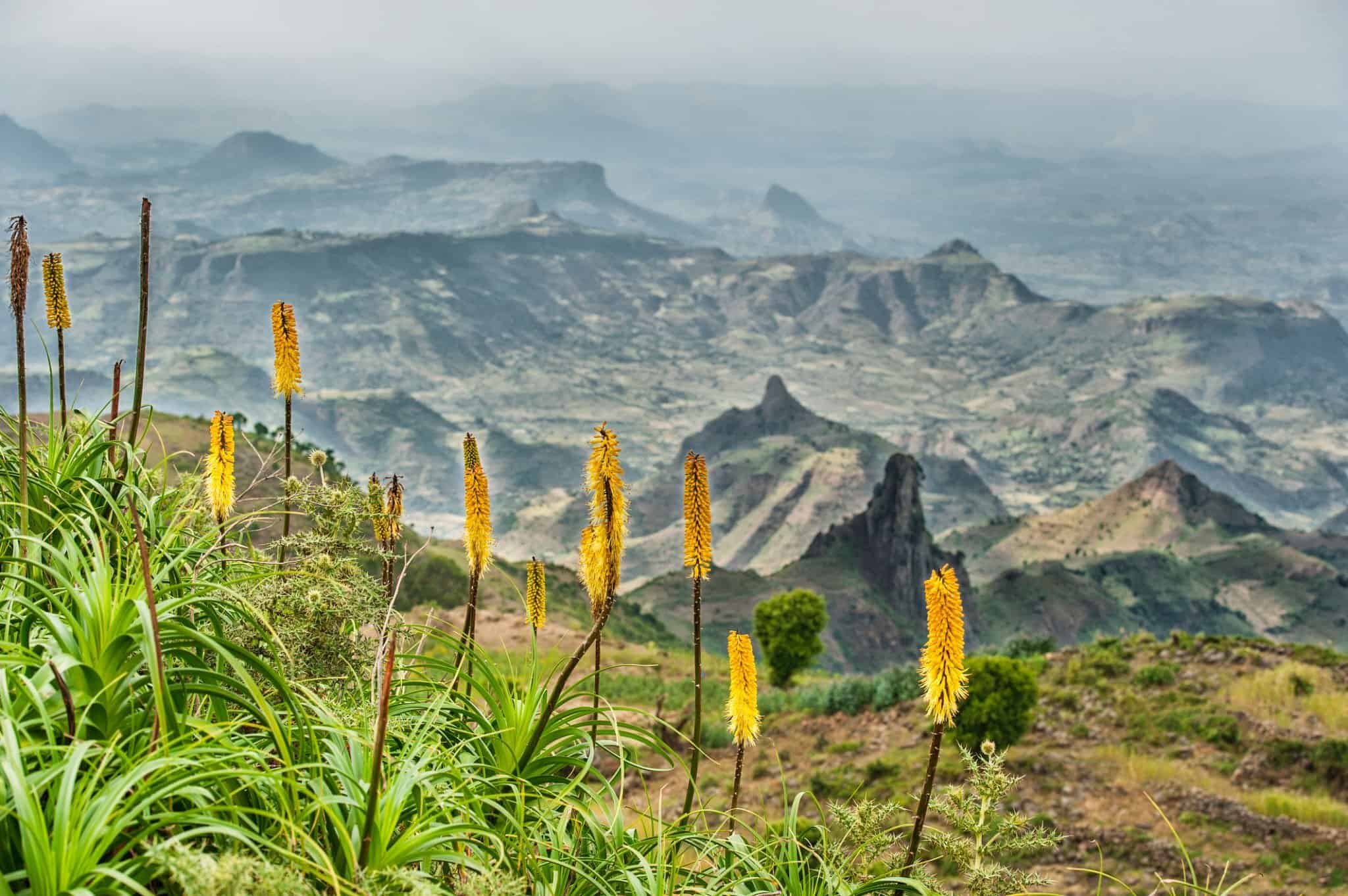 Simien Mountains Safari